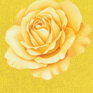 rose collection